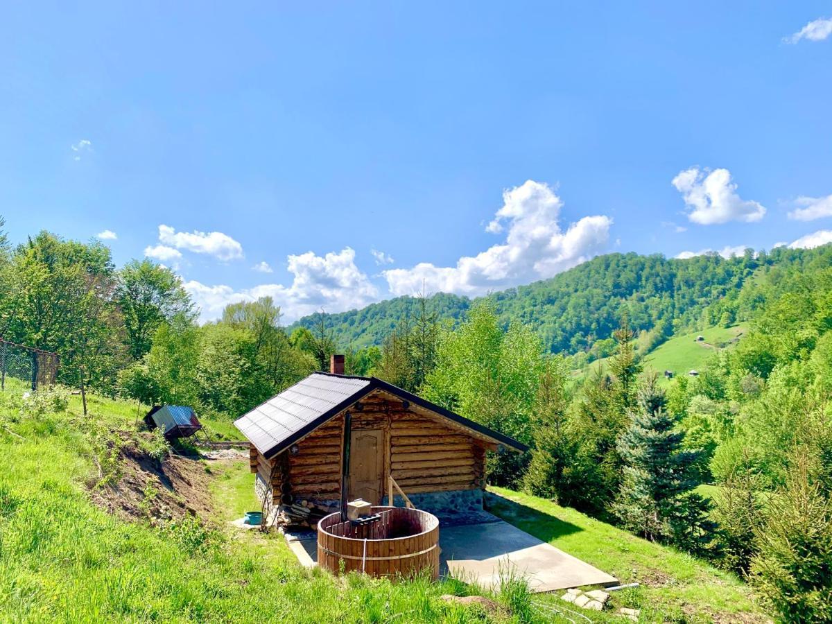 Conacul Drahneilor Hotel Ruscova Екстериор снимка