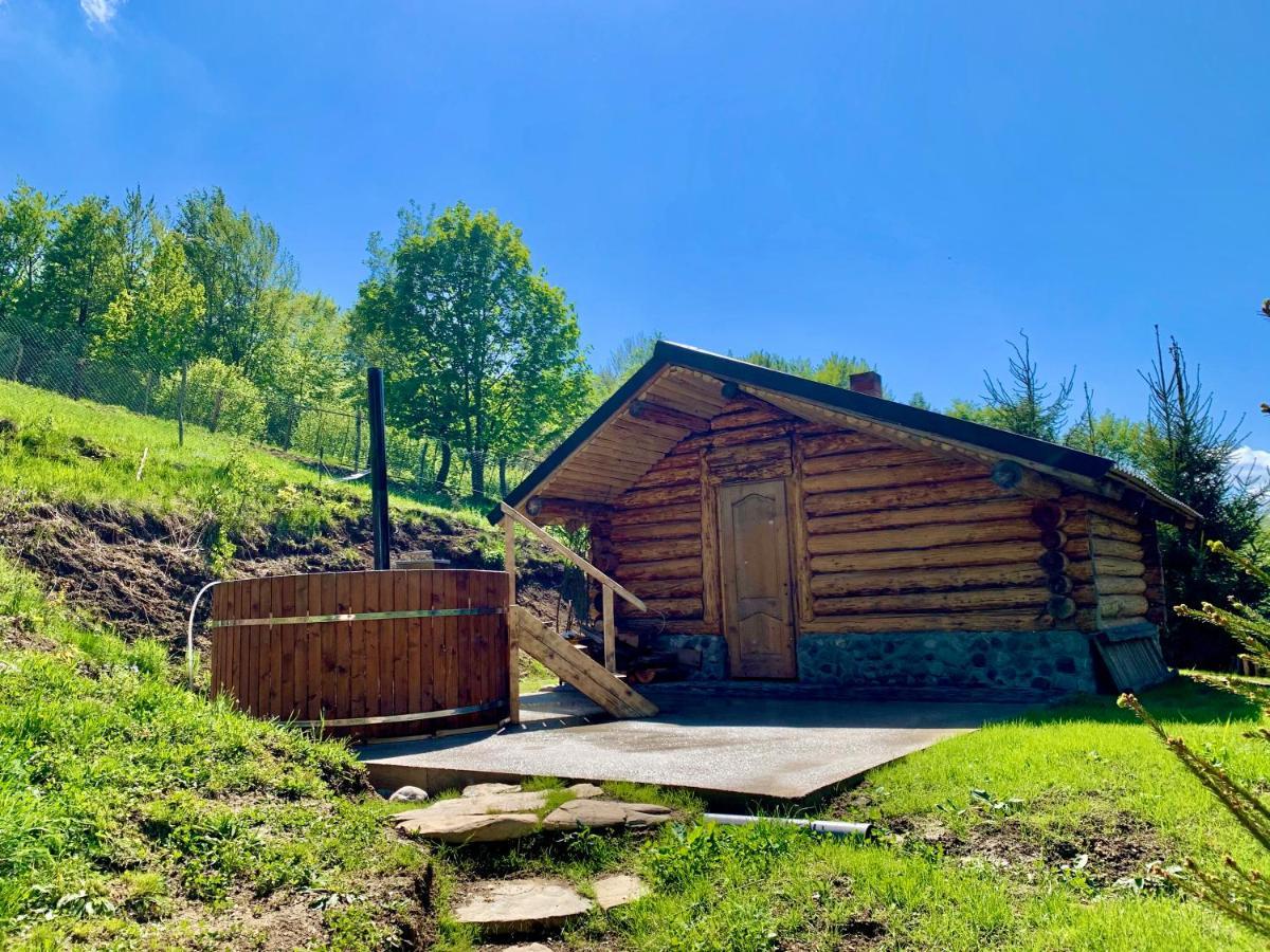 Conacul Drahneilor Hotel Ruscova Екстериор снимка