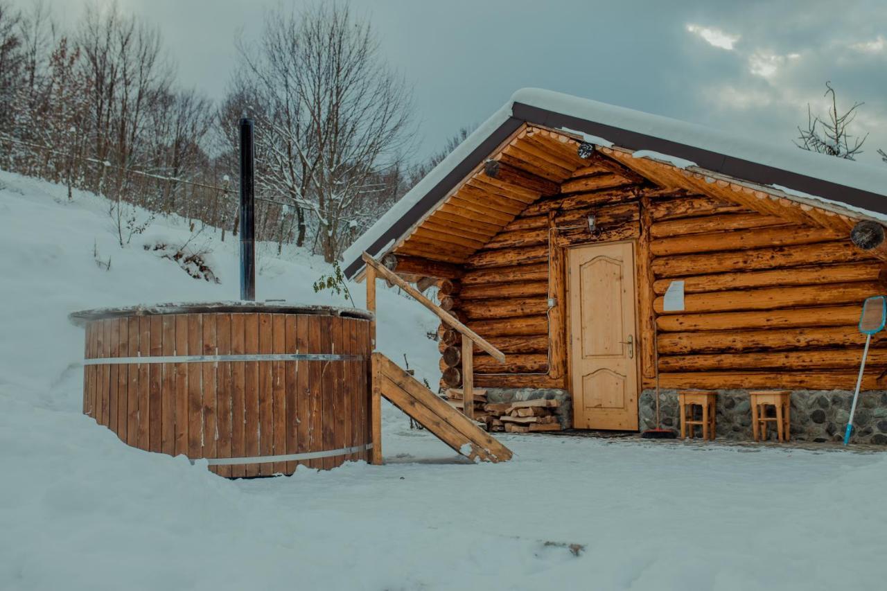 Conacul Drahneilor Hotel Ruscova Екстериор снимка