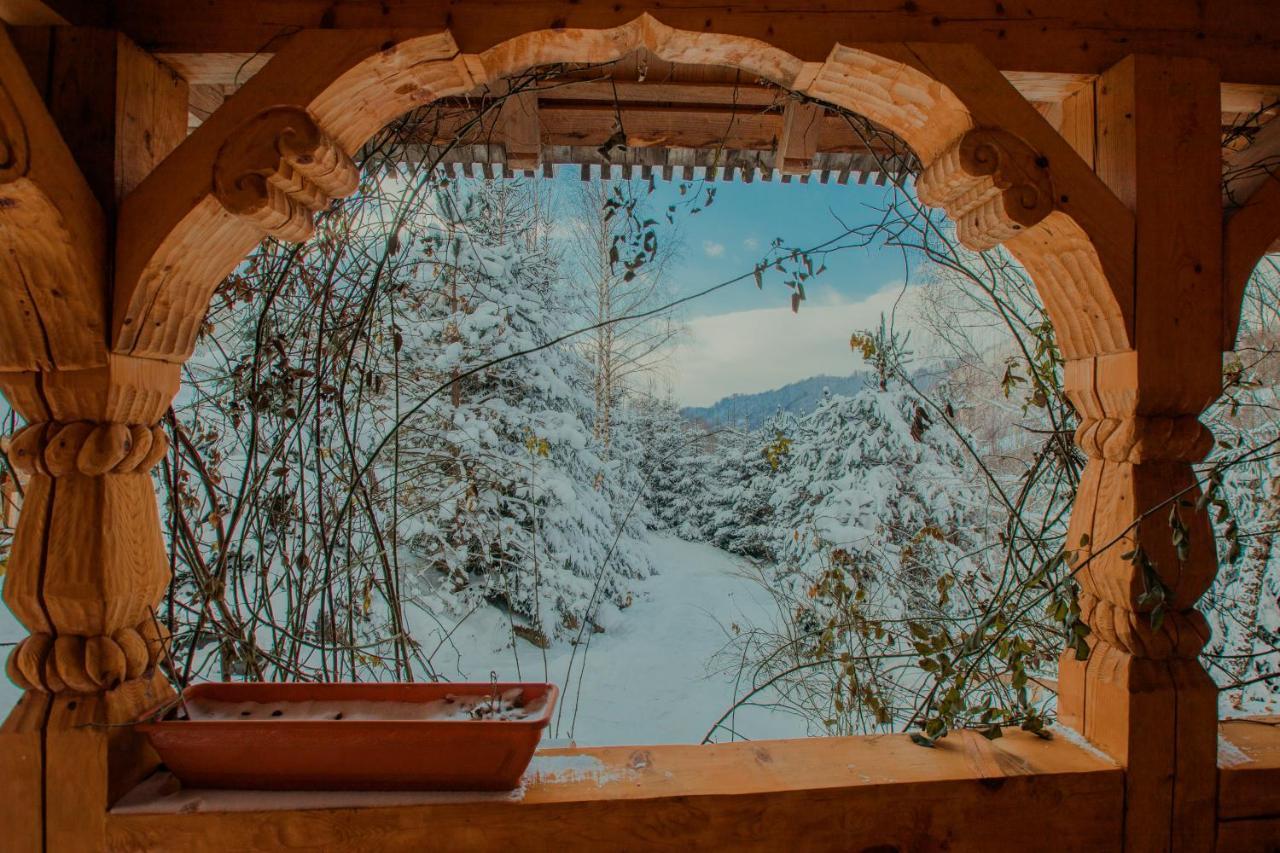 Conacul Drahneilor Hotel Ruscova Екстериор снимка
