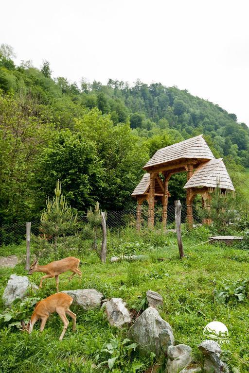 Conacul Drahneilor Hotel Ruscova Екстериор снимка