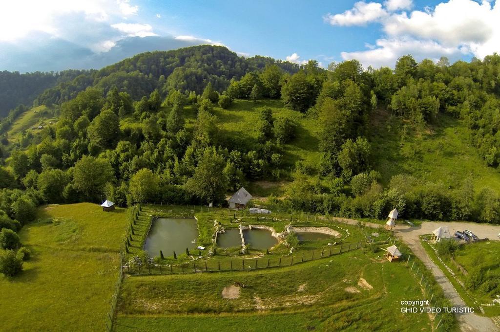 Conacul Drahneilor Hotel Ruscova Екстериор снимка